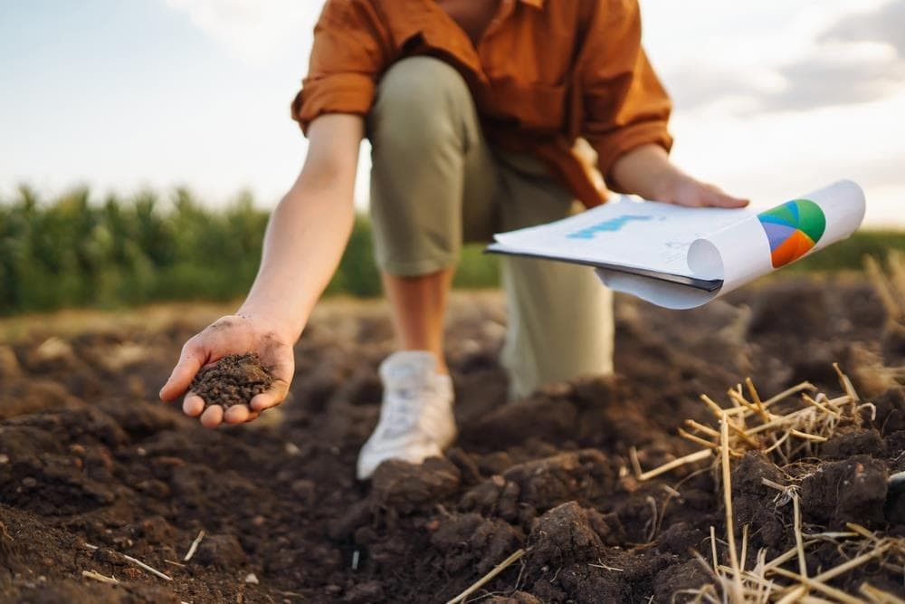 Han modificado un camino y ahora pasa por mi finca, ¿necesito un perito medioambiental?