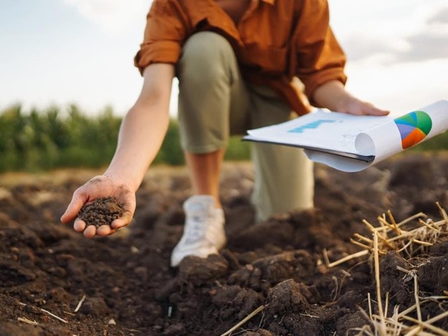 Han modificado un camino y ahora pasa por mi finca, ¿necesito un perito medioambiental?